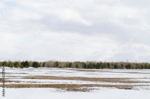 Wallpaper Mural Snow field in early spring Torontodigital.ca