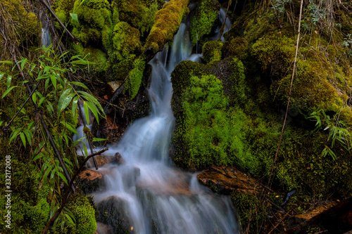 Long exposure shot wild creek surrounded by mossy rocks in Los Alerces National Park  Patagonia  Argentina