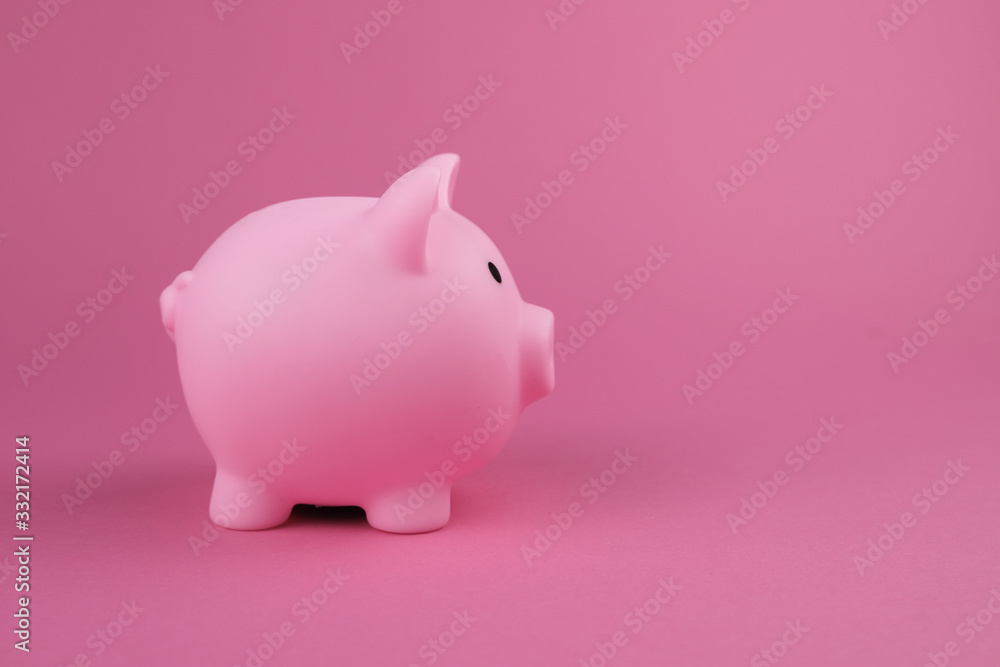 Pink piggy bank on the pink background.Concept of saving money, investment, banking or business services. Pink piggy bank on the pink background.Concept of saving money, investment, banking or business services.