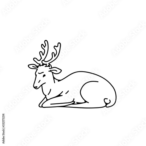 Wild young deer male buck with branched horns lay down vector outline black white sketch illustration.