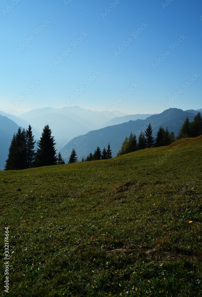 Mountain landscape with fir trees and meadow in Switzerland in the morning
