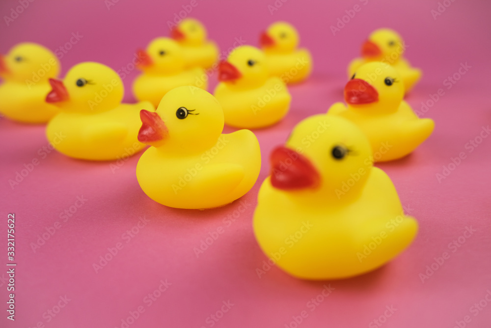 Close up of a rubber duck on the pink background.. Close up of a rubber duck on the pink background..