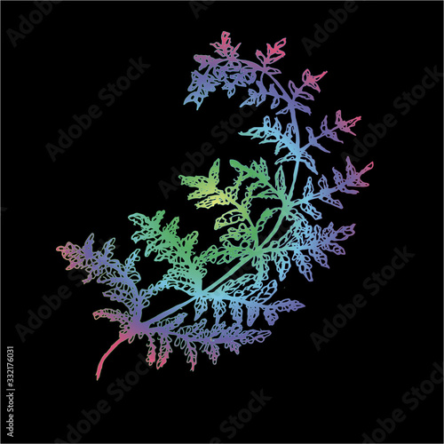 Color neon gradient fern illustration. Ancient plant.