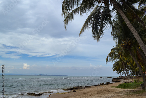 Palm tree on the beach