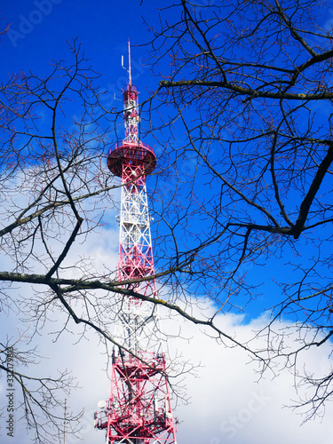 High antenna behind black branches photo