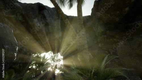 Big Palms in Stone Cave with Rays of Sunlight photo