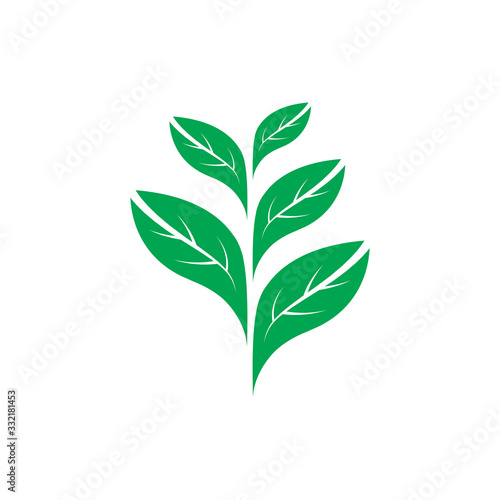 Seedling view of green leaf illustration  vector