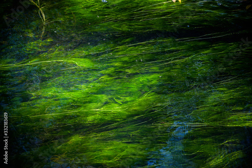 Green color aqua water texture for paper backgrounds