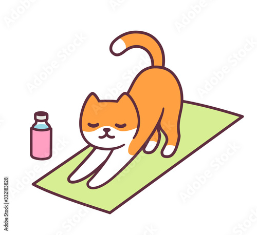 Cartoon yoga cat