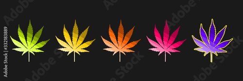 Five Hemp (Canabis) leaves in green, yellow, orange, red, and purple gradients, isolated on black background.