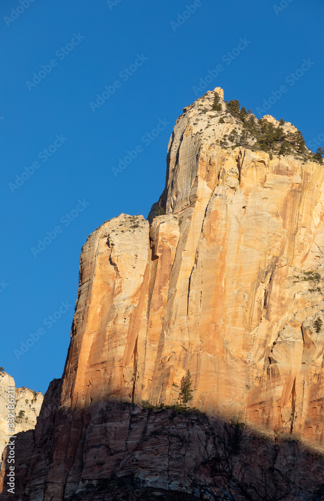 Fototapeta premium Scenic Zion National Park Utah Landscape