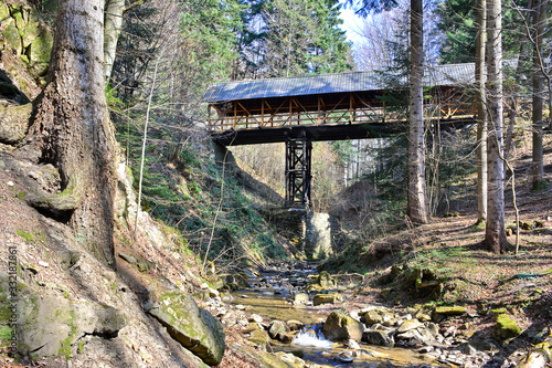 Wooden bridge over deep canyon, Zyczanow, Poland