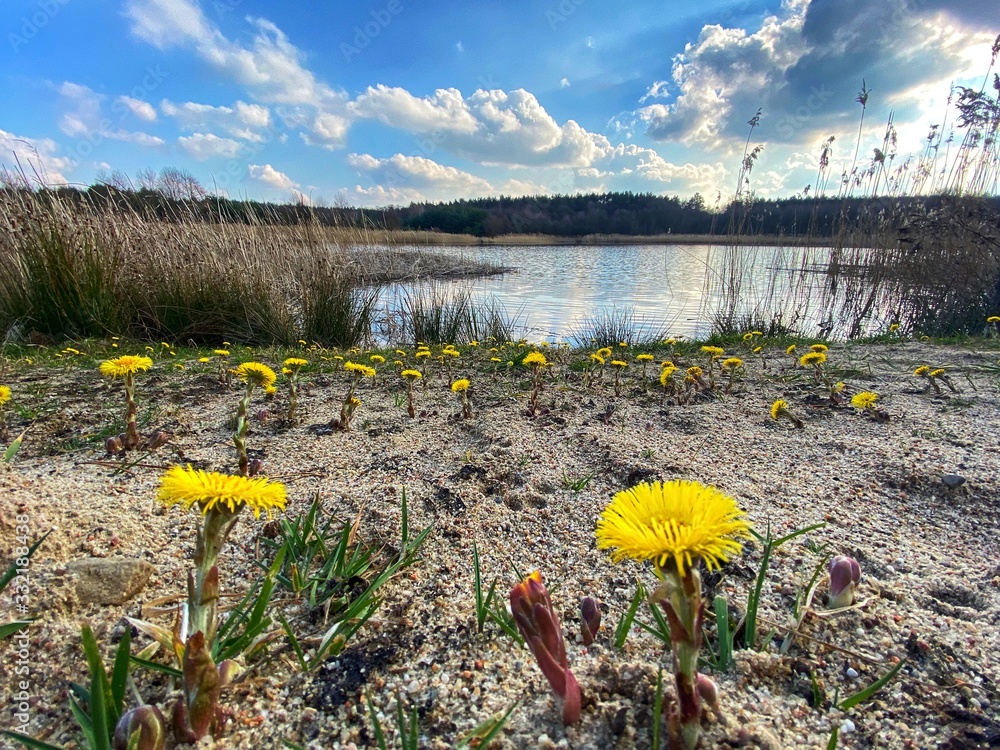 Obraz premium lake in the mountains