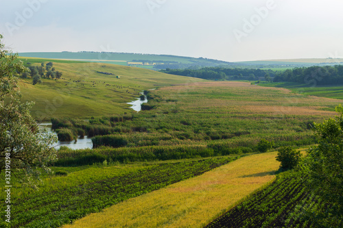 Green fields of farmland on a hilly terrain photo