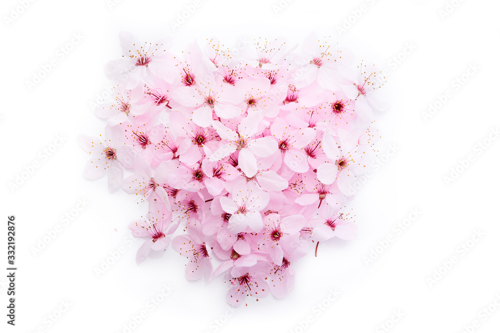 Fototapeta premium Beautiful sakura cherry blossoms in heart shape