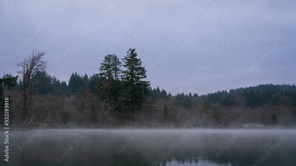 Fototapeta premium Kayaking Along Mud Bay Fog