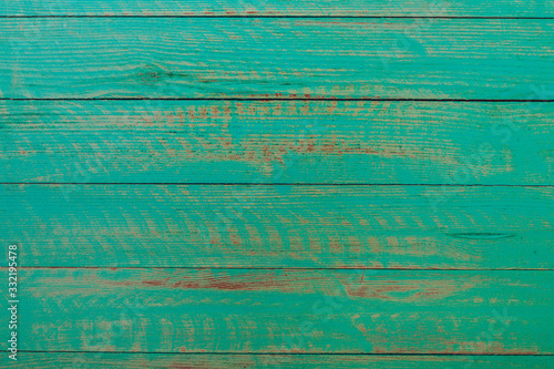 Wallpaper Mural Vintage green wood background texture with knots and nail holes. Old painted wood wall. Brown abstract background. Vintage green wooden dark horizontal boards. Front view with copy space. Background f Torontodigital.ca