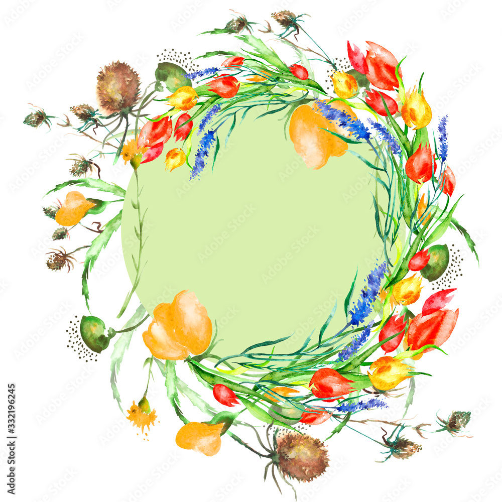 Fototapeta premium Watercolor Frame of tulips, flower,thistle, burdock, lavender branch. Vintage drawing plant isolated on white background. Card with red and yellow tulip flowers. Garden flowers. wreath of wildflowers