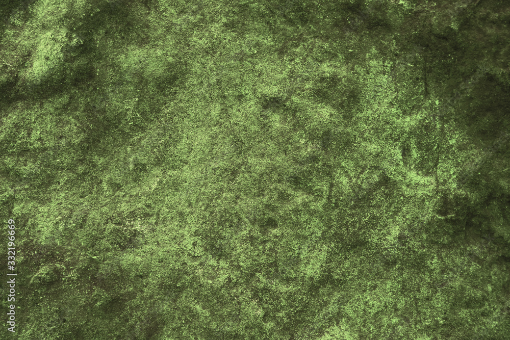 ancient dry green moss granite stone surface of cave for interior ancient dry green moss granite stone surface of cave for interior