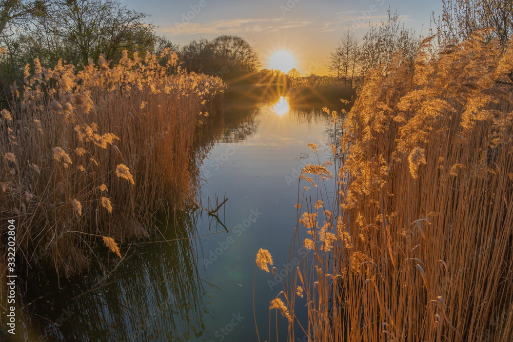 Gennevilliers, France - 03 15 2020: Artificial lake with reeds at sunset - obrazy, fototapety, plakaty 