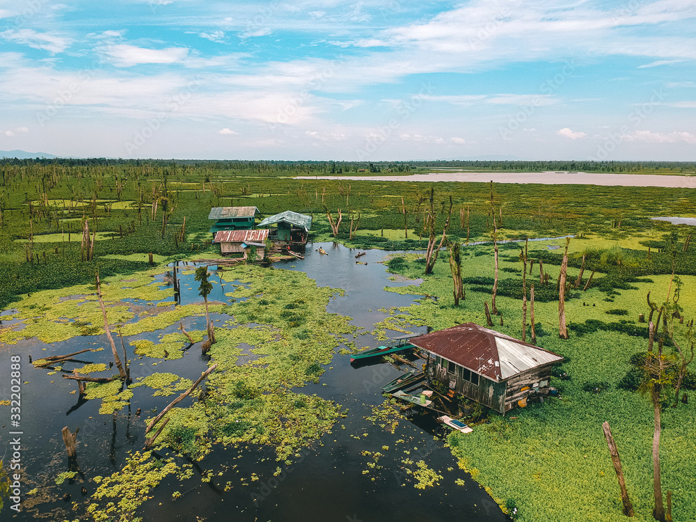 Fototapeta premium Agusan Marsh