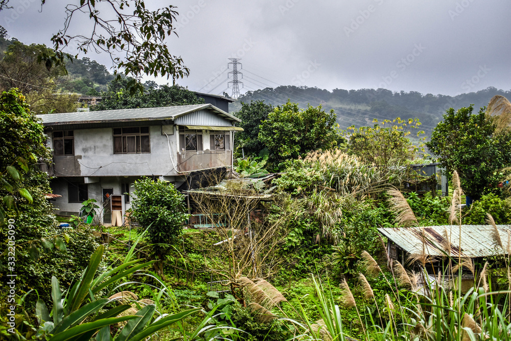 Fototapeta premium Taiwanese beautiful nature full of green plants and trees