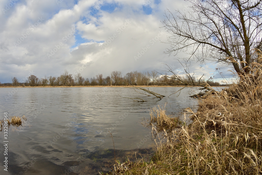 Fototapeta premium Brzeg rzeki porośnięty lasem w słoneczny dzień z chmurami na nie