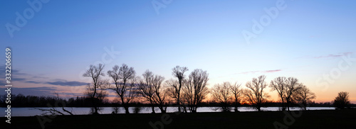 silhouette of trees on embankment of river afgedamde maas in the netherlands