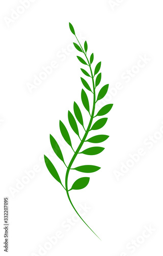 Green leaves, isolated on white background for assembling and decorating various events, logos, illustrations - vector