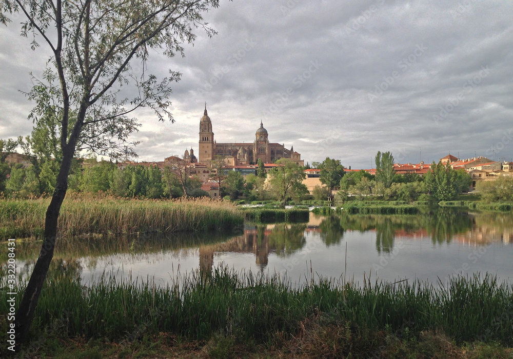 View of the cathedral of Salamanca from the Tormes river