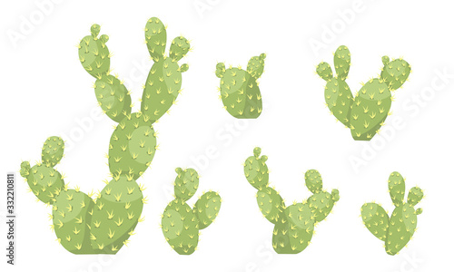 Set of large green cacti Opuntia. Plant of America. Vector illustration