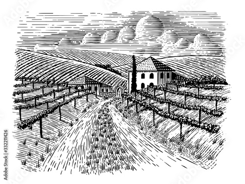 Italian Vineyard and Road