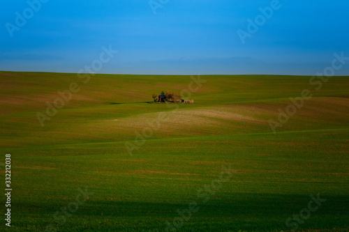 A lonely island with an old tool shed for working in the field in the middle of the Moravian green fields