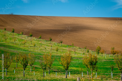 Moravian landscapes of wavy fields with a wealth of colors