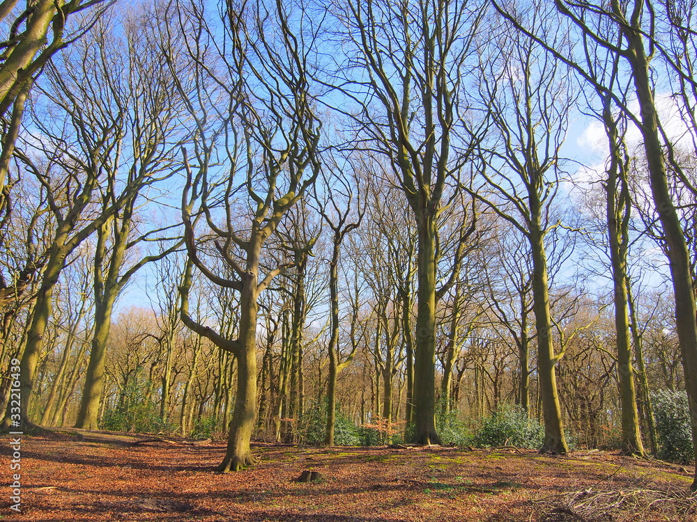 Obraz premium OLYMPUS DIGITAL CAMERA