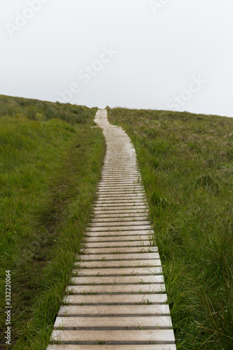 path built on the grass