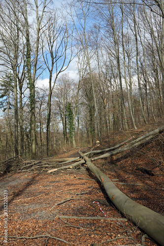 Sturmschäden