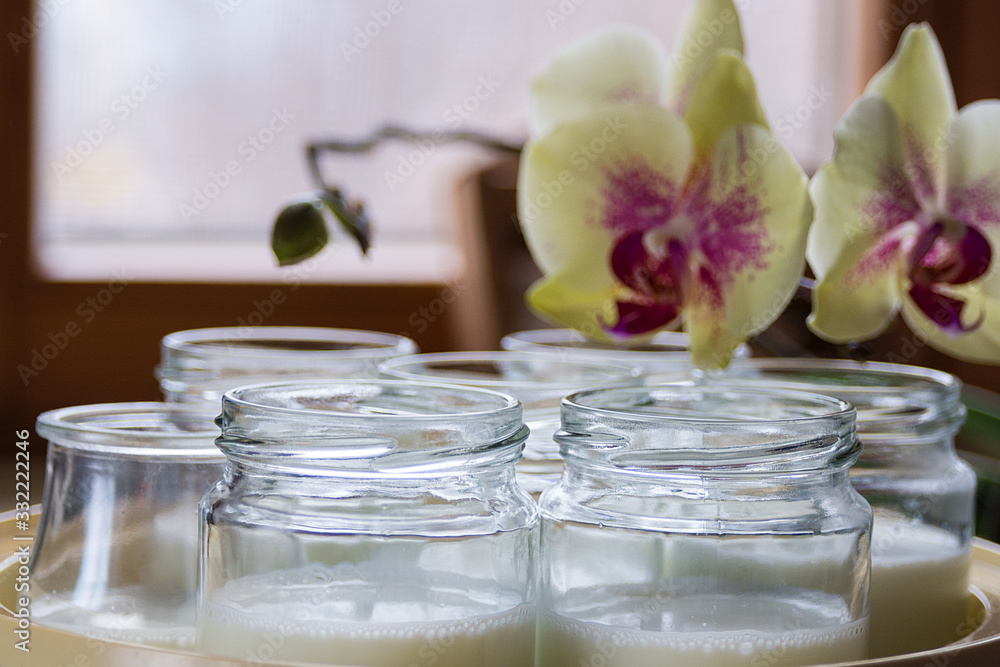 Glass jars with natural homemade organic yogurt in yogurt maker. Nearby is a delicate pink orchid flower. Glass jars with natural homemade organic yogurt in yogurt maker. Nearby is a delicate pink orchid flower.