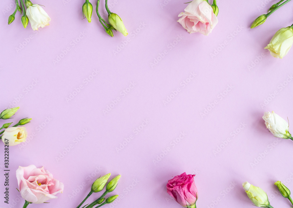 Flat lay with flower composition. Frame of rose flowers on pink background. Minimal spring concept. Top view, copy space.