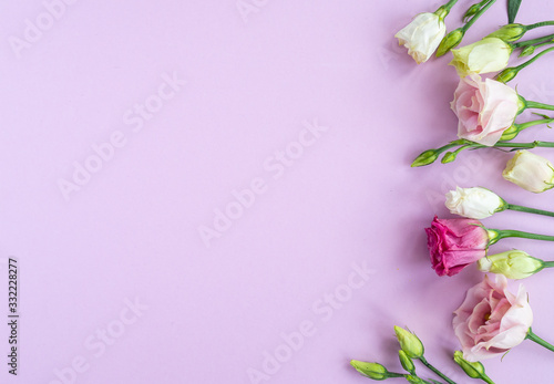 Fototapeta Naklejka Na Ścianę i Meble -  Flat lay with flower composition. Frame of rose flowers on pink background. Minimal spring concept. Top view, copy space.