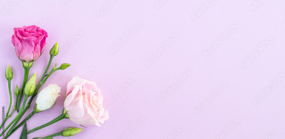 Flat lay with flower composition. Frame of rose flowers on pink background. Minimal spring concept. Top view, copy space, banner Flat lay with flower composition. Frame of rose flowers on pink background. Minimal spring concept. Top view, copy space, banner