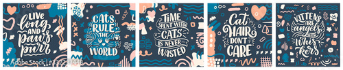 Set with funny lettering quotes about cats for print in hand drawn style. Creative typography slogans design for posters. Cartoon vector illustration.