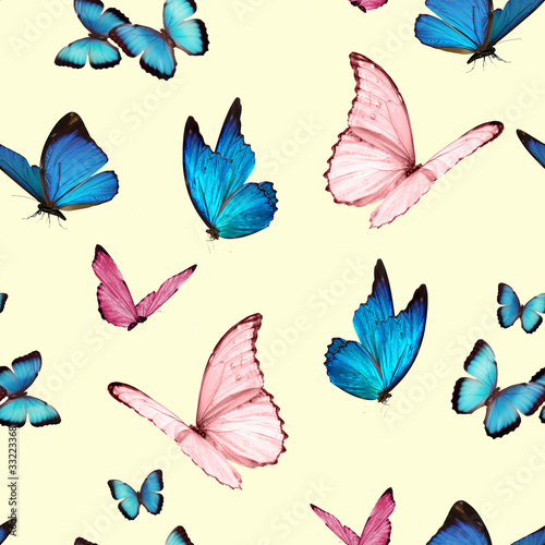 seamless pattern of butterflies