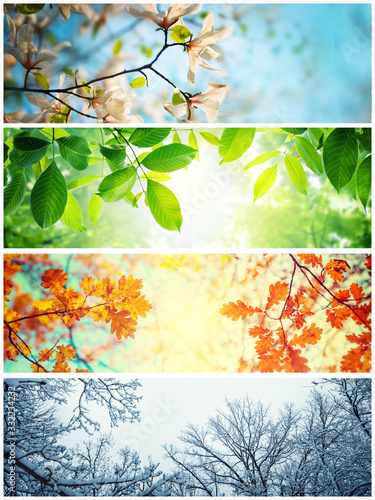 Four seasons. A pictures that shows four different pictures representing the four seasons: winter, spring, summer and autumn. photo