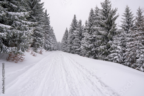 road in mountains covered with snow with spruce trees around, czech Beskydy mountains Lysa Hora
