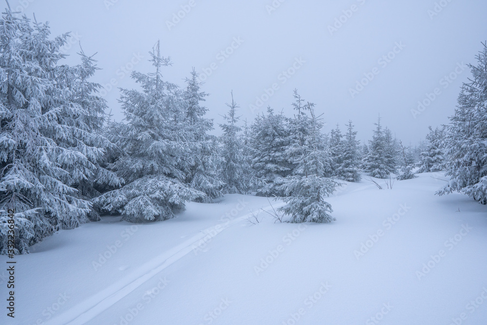 Gorgeous winter landscape in the mountains at snowy visibility with fog in the background, Czech Lysa Mountain Gorgeous winter landscape in the mountains at snowy visibility with fog in the background, Czech Lysa Mountain