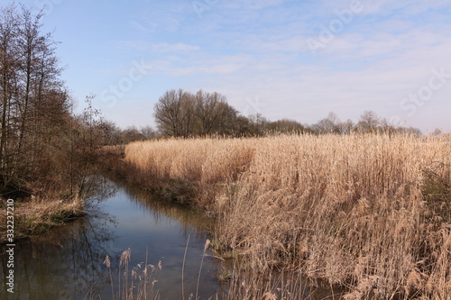 Wasserlandschaft im einsetzenden Frühjahr im Münsterland photo