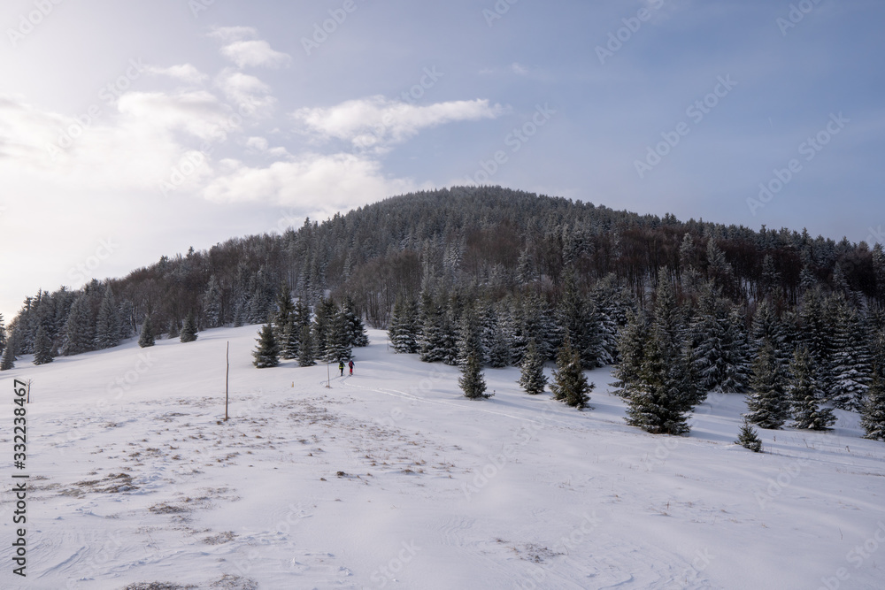 Two ski mountaineers climb to the top of the mountain in winter in a beautifully snowy nature