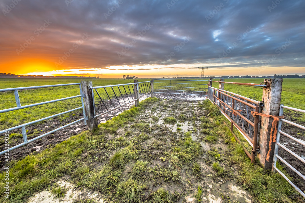 Sunset over gate in lowland meadow