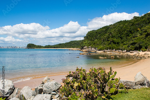 Cactos e a costa da  Praia tropical de Ilhota em Itapema, Santa Catarina photo